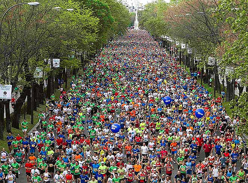 Maraton de Madrid 2013