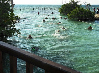 triatlon hacienda tres rios sprint riviera maya hotel playa del carmen